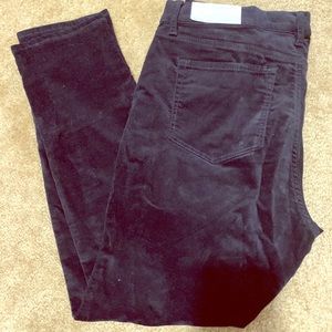 LOFT Corduroy Modern Skinny